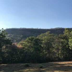 Meet your Posher, Antonio